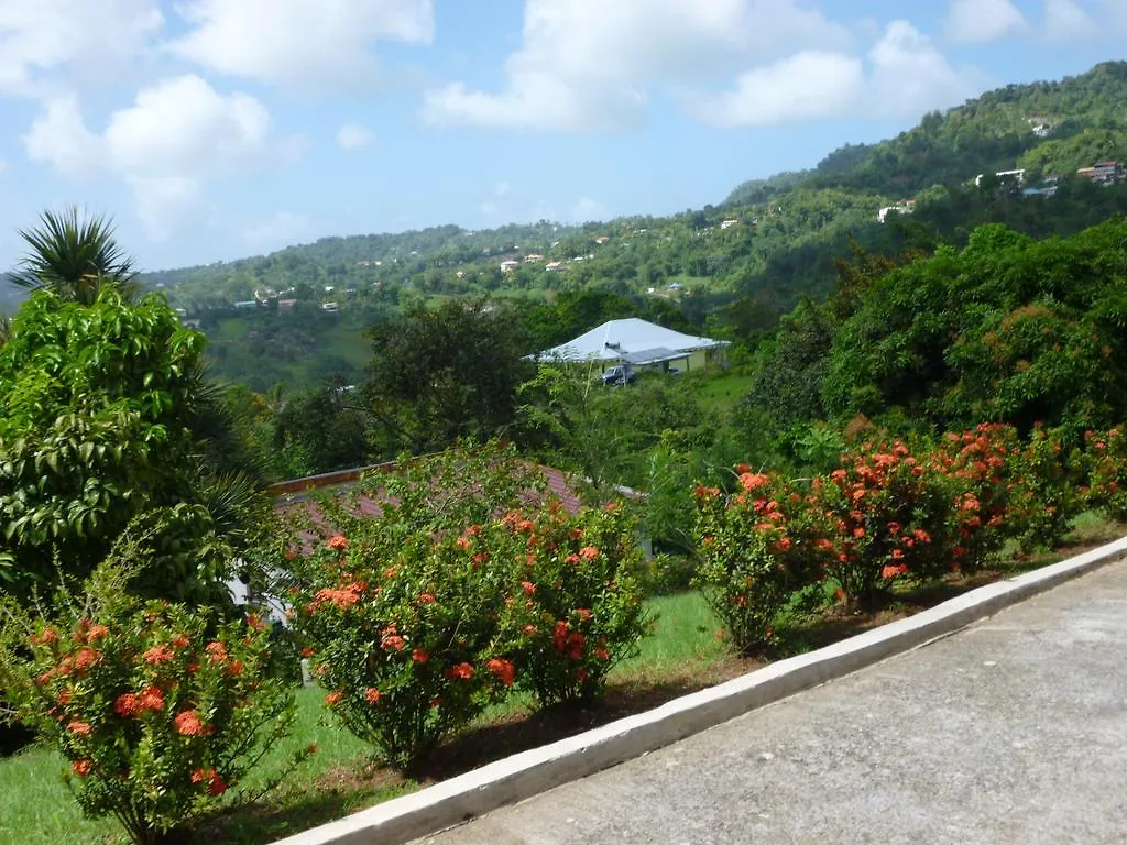 Appartements Allee Des Ixoras Saint-Esprit Martinique